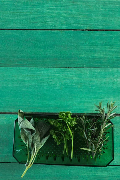 Różnego rodzaju zioła w plastikowej tacce — Zdjęcie stockowe
