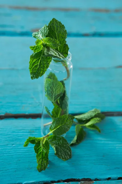 Frische Minzblätter im Glas — Stockfoto