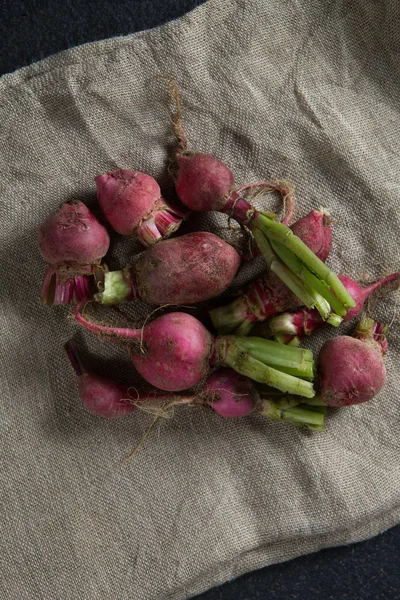 High angle view of red radishes — Stock Photo, Image