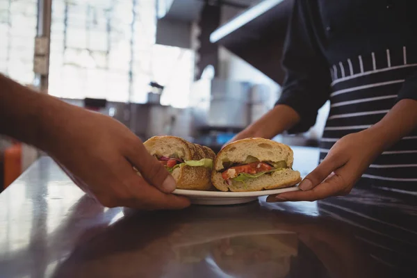 Официантка дает тарелку с бутербродами коллеге — стоковое фото
