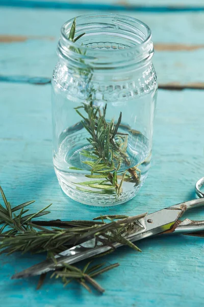 Rosemary and scissors on wooden table — Stock Photo, Image