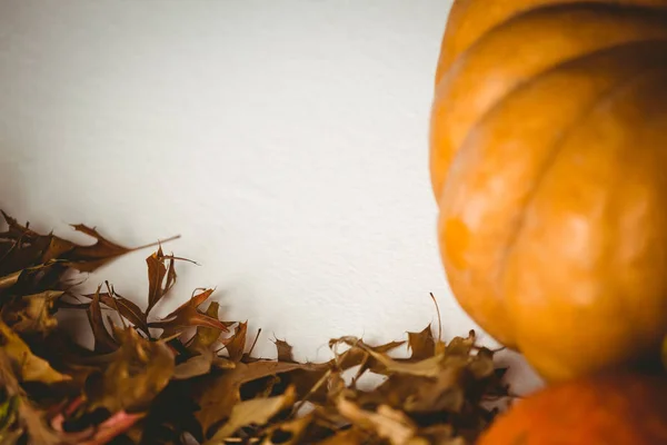 Beskuren bild av pumpa av höstlöv — Stockfoto