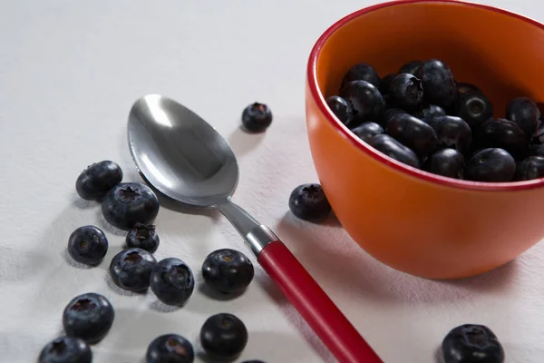 Blueberries in a bowl on white background — Stock Photo, Image