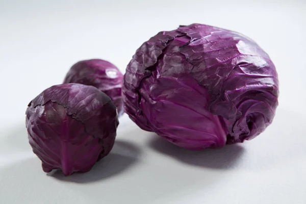 Red cabbages on a white background — Stock Photo, Image