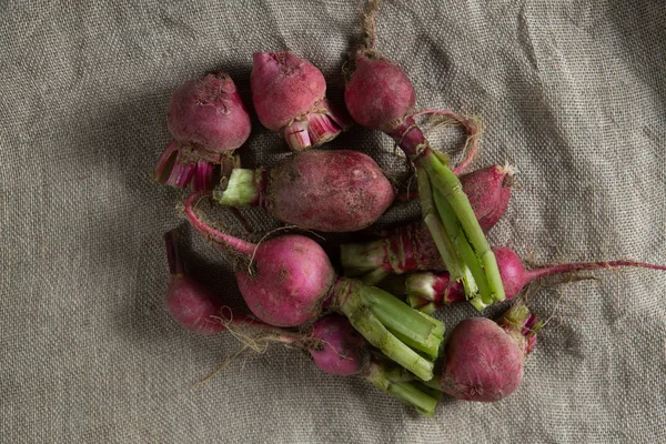 Overhead view of red radishes — Stock Photo, Image