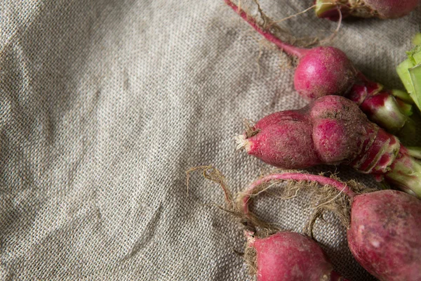 Close-up of red radishes — Stock Photo, Image