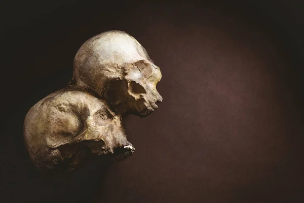Wysoki kąt widzenia ludzkich czaszek — Zdjęcie stockowe