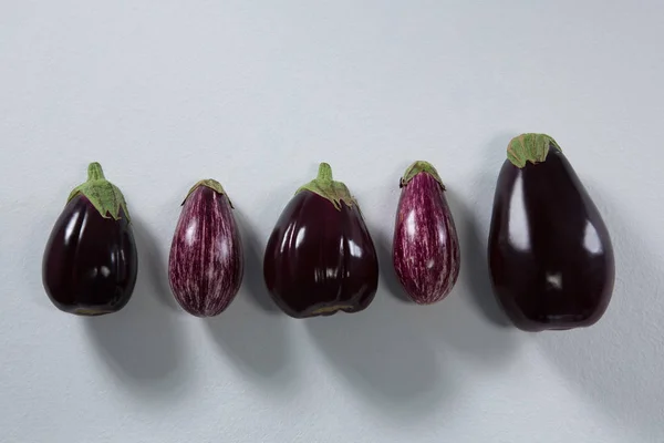 Eggplants arranged on a white background — Stock Photo, Image