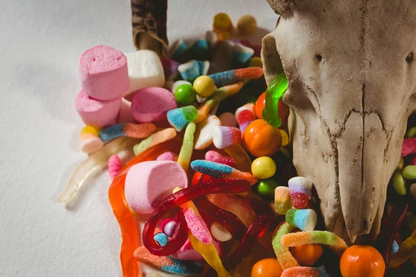 Крупный план черепа животного с различными конфетами — стоковое фото