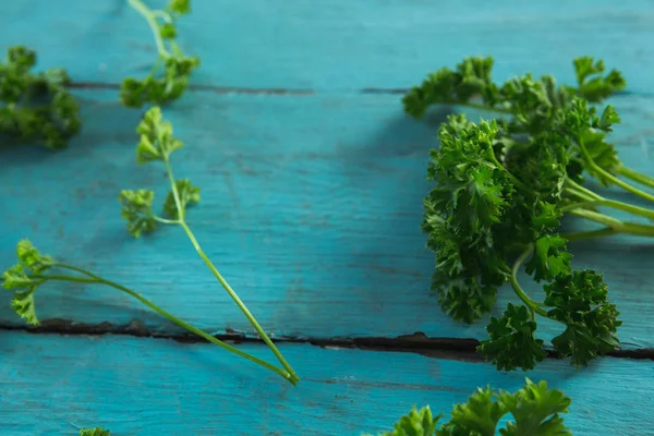 Verse koriander bladeren op houten tafel — Stockfoto