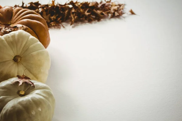 Abóboras dispostas por folhas de outono — Fotografia de Stock