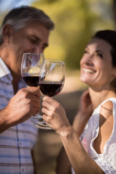 couple toasting a glass of red wine