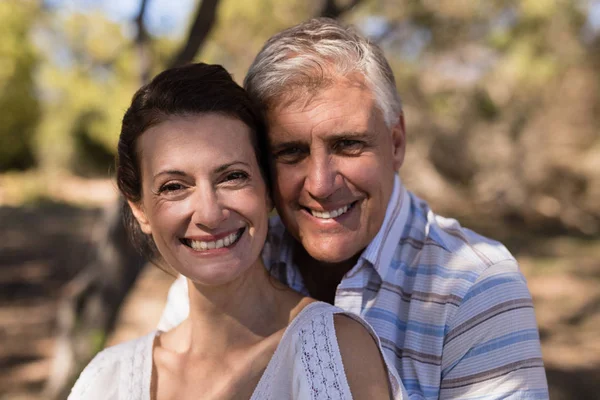 Retrato de pareja romántica —  Fotos de Stock