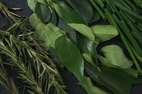 Romarin, feuilles de curry et ciboulette à l'ail — Photo