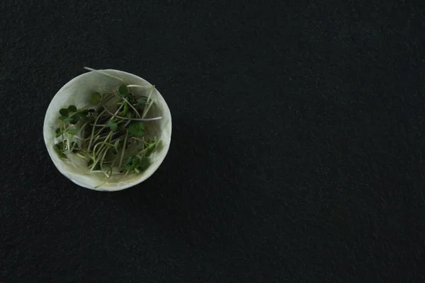 Micro greens in bowl on black — Stock Photo, Image