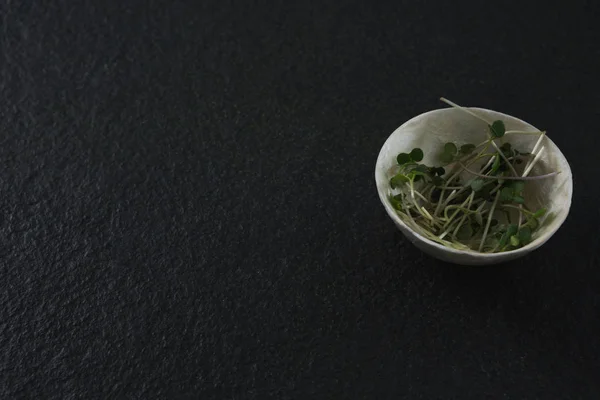 Microgreens w misce na czarny — Zdjęcie stockowe