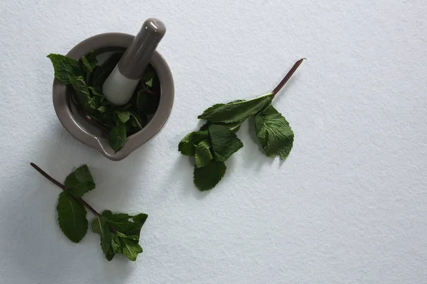 Holy basil in mortar pestle — Stock Photo, Image