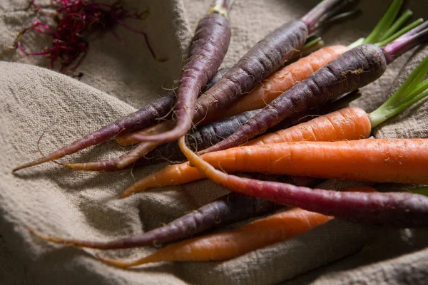 Fresh carrots on napkin — Stock Photo, Image