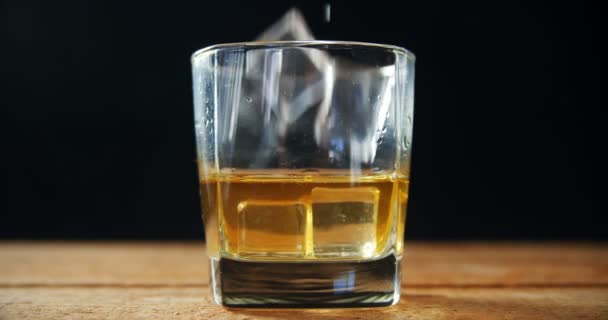 Ice cubes falling in whisky — Stock Video