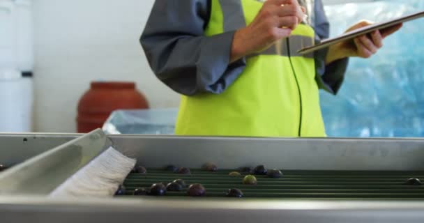 Trabajador escribiendo en portapapeles en fábrica de aceitunas — Vídeos de Stock