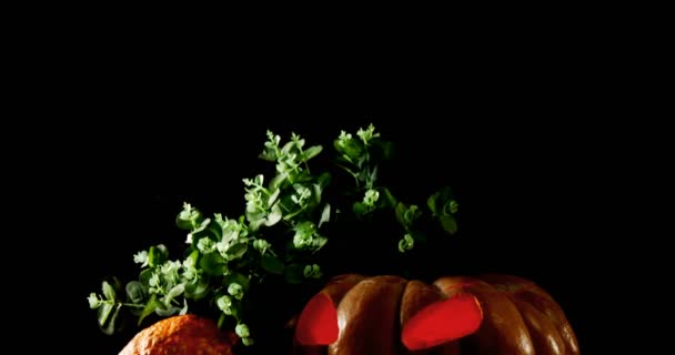 Zucca di Halloween con foglia d'acero — Video Stock