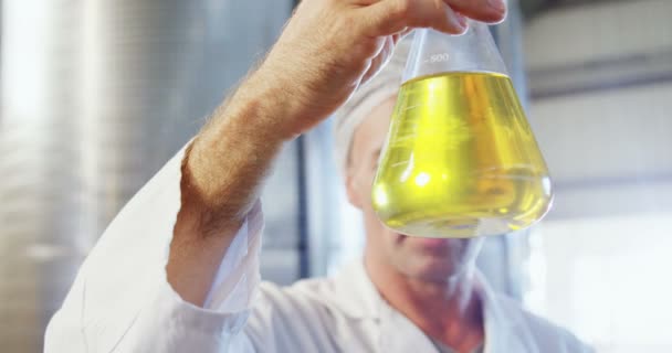 Técnico examinando aceite de oliva — Vídeo de stock