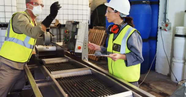 Рабочие проверяют оливки в машине на заводе — стоковое видео
