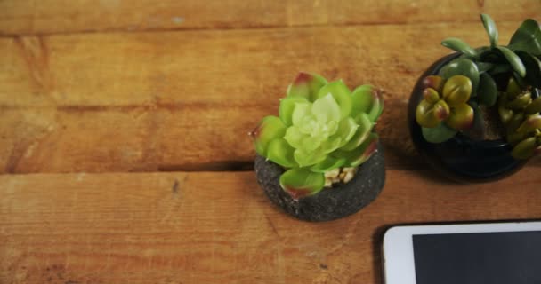 Plante en pot, café noir, lunettes et tablette numérique — Video