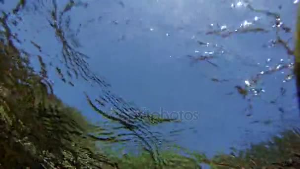 流动的水在阳光明媚的一天 — 图库视频影像