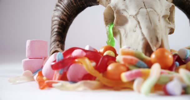 动物的头骨和各种糖果 — 图库视频影像