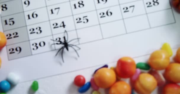 Fausse araignée sur un calendrier — Video