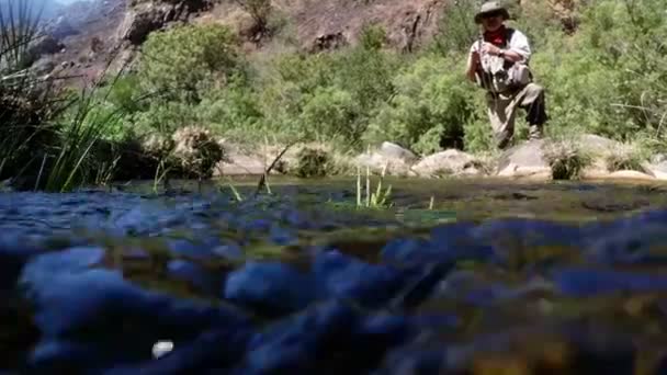 Pesca com mosca de pescador no rio — Vídeo de Stock