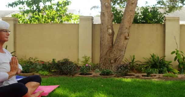 Senior vänner utför yoga i trädgården — Stockvideo