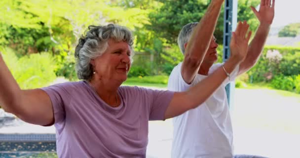 Couple de personnes âgées faisant de la méditation sur l'exercice — Video