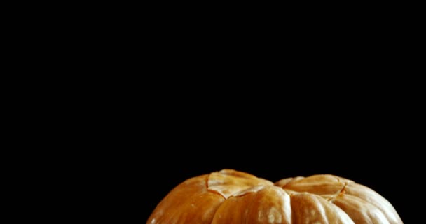 Halloween pumpkin against black background — Stock Video