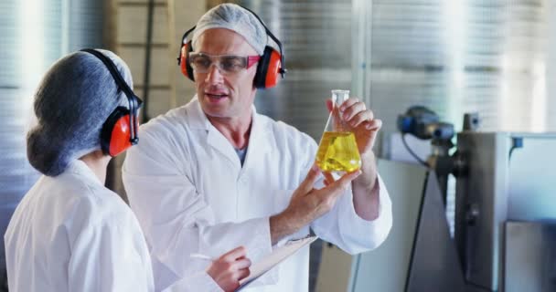 Technici zkoumání olivový olej — Stock video