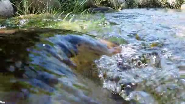 Água corrente em um dia ensolarado — Vídeo de Stock