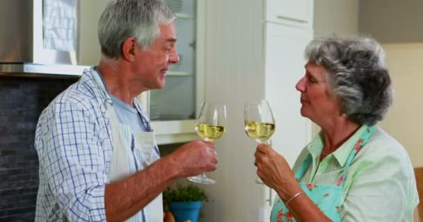 Couple de personnes âgées interagissant tout en ayant du vin dans la cuisine — Video