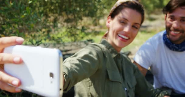 Couple taking selfie from mobile in olive farm — Stock Video