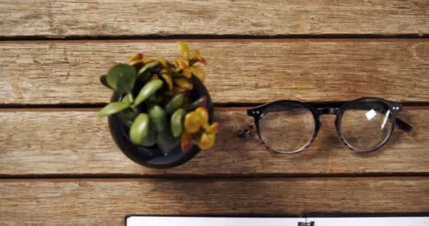 Plante en pot, café noir, lunettes, organisateur et stylo — Video