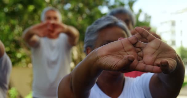 Gli amici anziani che fanno esercizio di stretching in giardino — Video Stock