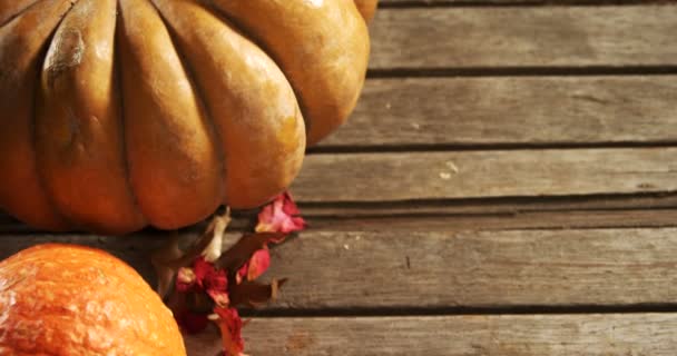 Halloween pumpkin with maple leaf — Stock Video
