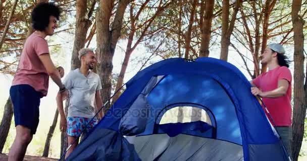 Amici che danno il cinque mentre preparano tenda nel parco — Video Stock