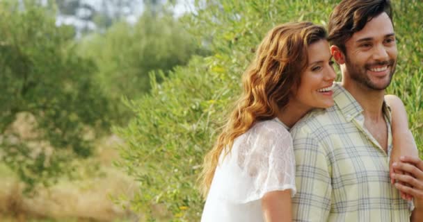 Pareja romántica abrazándose en una granja de olivos — Vídeos de Stock
