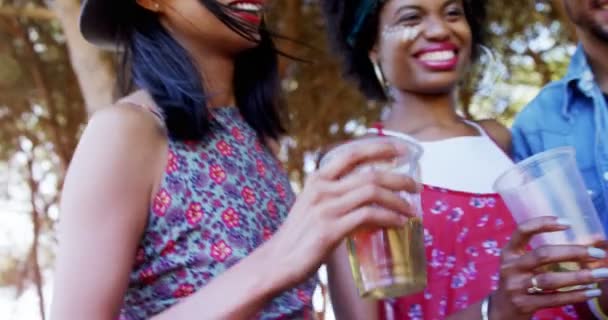 Groep vrienden roosteren bierglazen op muziekfestival — Stockvideo