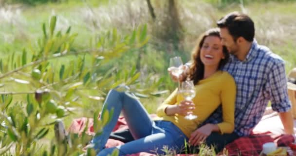 Романтическая пара выпивает бокал вина на оливковой ферме — стоковое видео