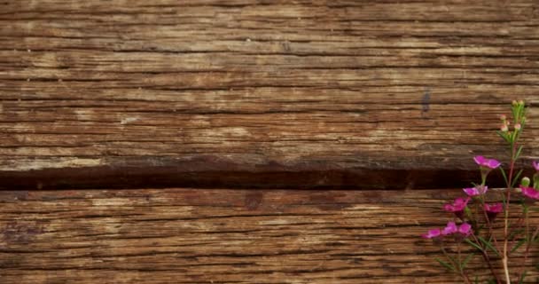 Διάφορα σκεύη στο ξύλινο τραπέζι — Αρχείο Βίντεο