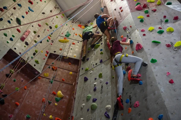 Sporcu ve antrenör tırmanma kulüpte duvar — Stok fotoğraf