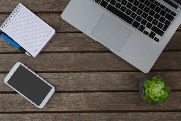 Laptop, kruka växten, anteckningsblock, penna och telefon — Stockfoto