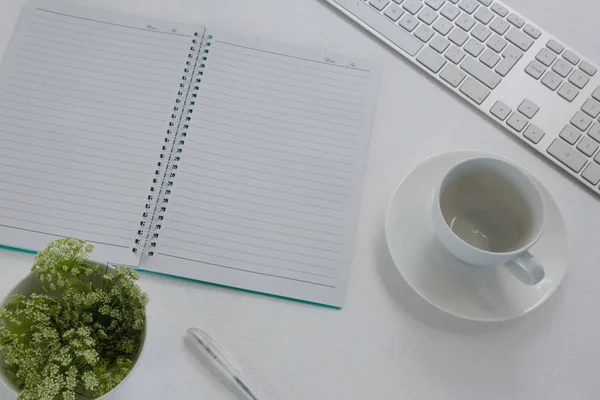 Tastatur, Topfpflanze, Stift, Buch, Kaffeetasse — Stockfoto